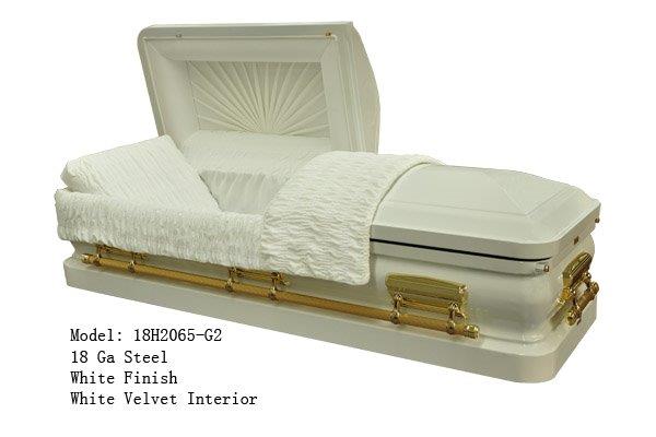 18H2065-G2