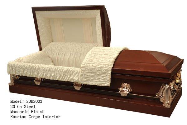 20H2003