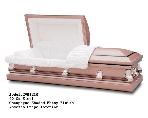 20H4216