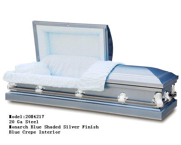 20H4217