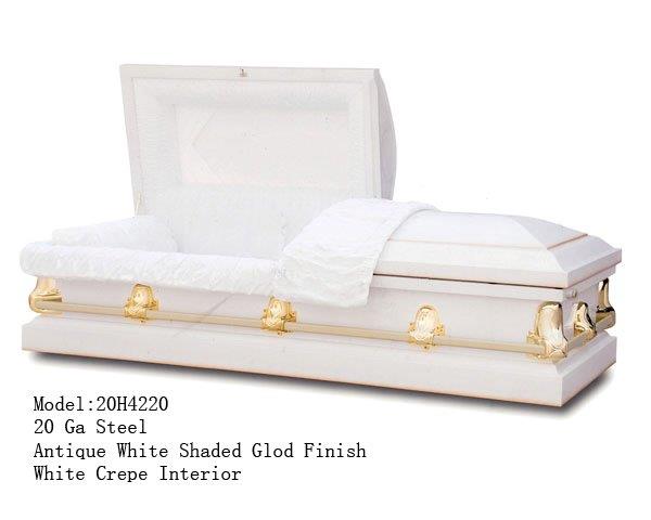 20H4220