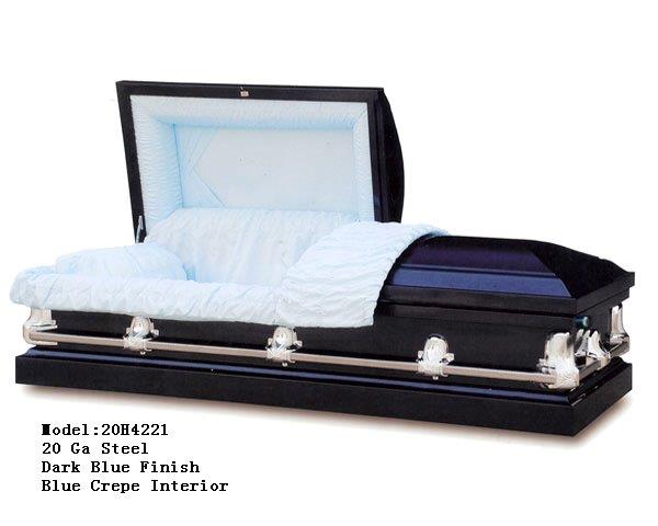 20H4221