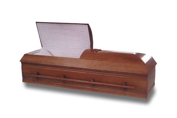 3051004