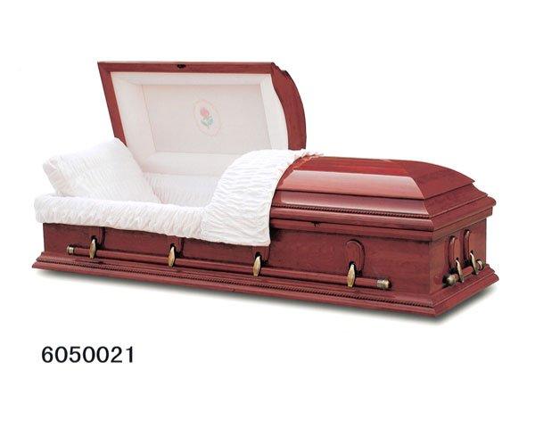 6050021