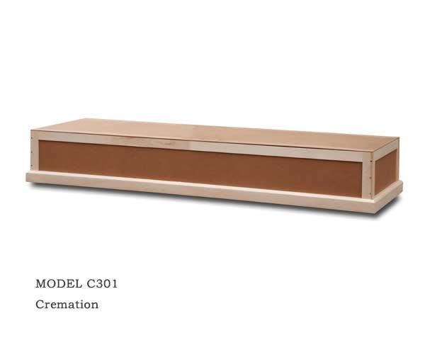 c301